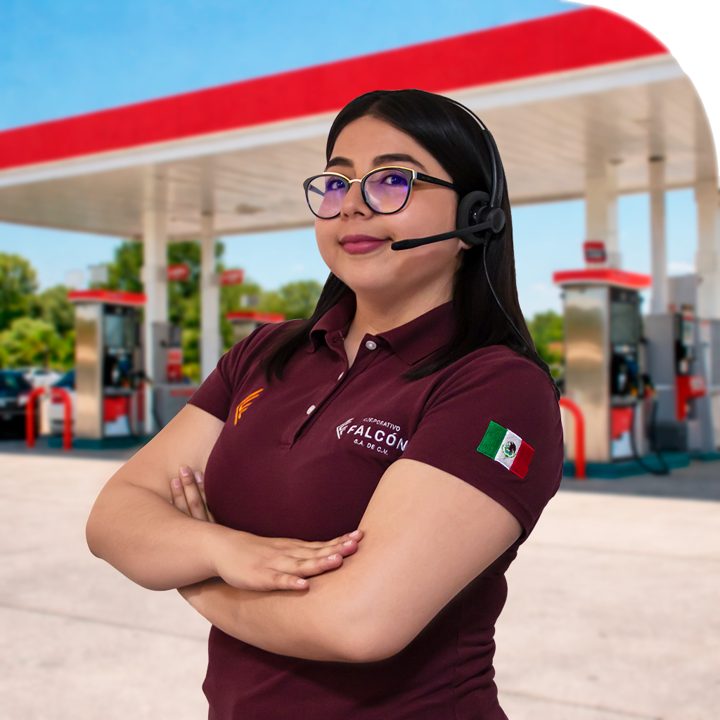 Procedimientos SASISOPA