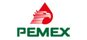 software para estaciones de servicio