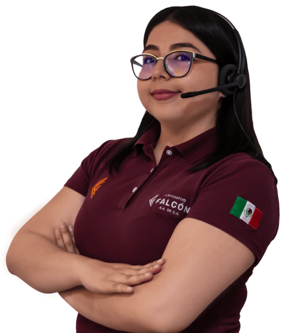 Equipo de soporte de Falcón SIAP plataforma SASISOPA